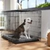 Frisco Heavy Duty Fold & Carry Single Door Collapsible Wire Dog Crate -The Pet Haven Shop 109783 MAIN. AC SS1800 V1667229583