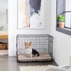 Frisco Swirl Dog Crate Mat -The Pet Haven Shop 110506 PT5. AC SS1800 V1635258765