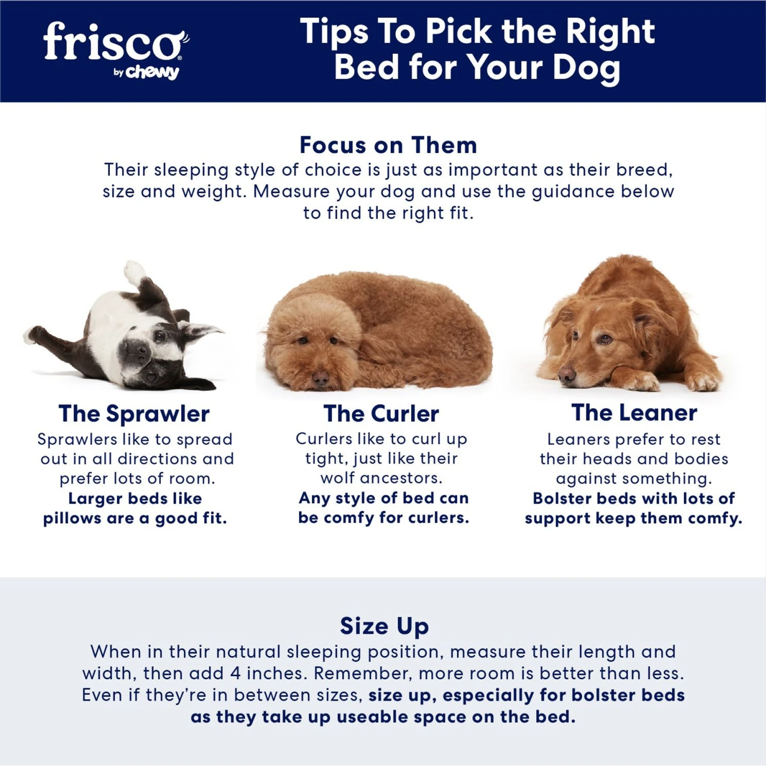 Frisco Rectangular Bolster Cat & Dog Bed 8 Frisco Rectangular Bolster Cat & Dog Bed - Image 6