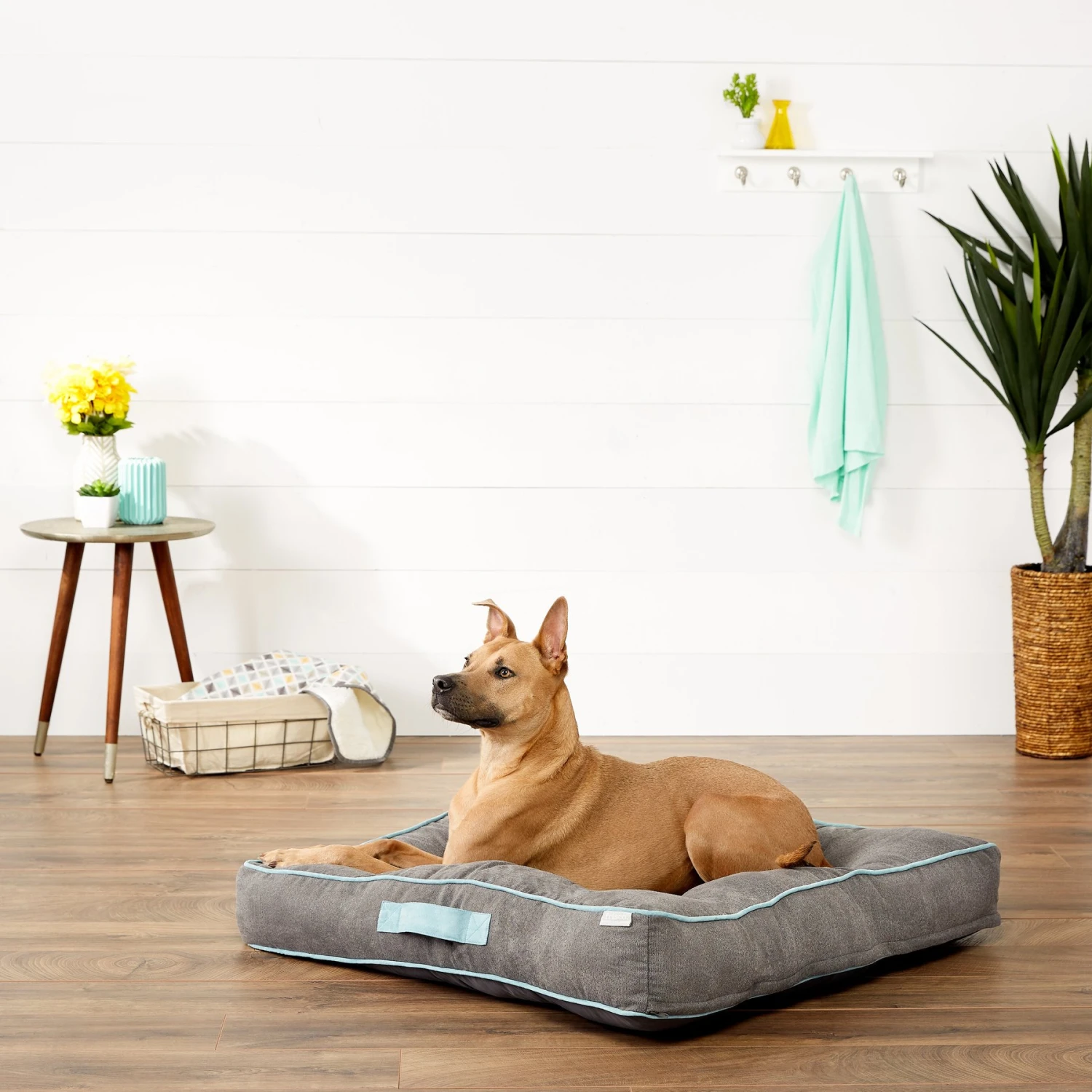 Frisco Tufted Square Pillow Cat & Dog Bed W/ Removable Cover 3 Frisco Tufted Square Pillow Cat & Dog Bed W/ Removable Cover