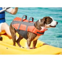 Frisco Ripstop Dog Life Jacket 18 Frisco Ripstop Dog Life Jacket -The Pet Haven Shop 140919 PT7. AC SS1800 V1631051825