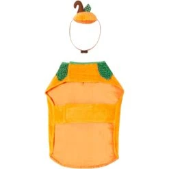 Frisco Pumpkin Dog & Cat Costume 15 Frisco Pumpkin Dog & Cat Costume -The Pet Haven Shop 144446 PT4. AC SS1800 V1567176587