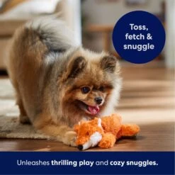 Frisco Fox Plush Squeaky Dog Toy 12 Frisco Fox Plush Squeaky Dog Toy -The Pet Haven Shop 147012 PT4. AC SS1800 V1695671028