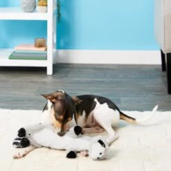 Frisco Raccoon Skinny Plush Squeaky Dog Toy 6 Frisco Raccoon Skinny Plush Squeaky Dog Toy -The Pet Haven Shop 147045 PT1. AC SS1800 V1539205362