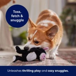 Frisco Cow Textured Plush Squeaky Dog Toy -The Pet Haven Shop 147059 PT5. AC SS1800 V1691776636