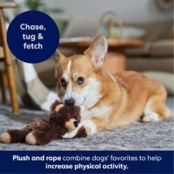 Frisco Bear Plush With Inside Rope Squeaky Dog Toy -The Pet Haven Shop 147061 PT4. AC SS1800 V1695659155