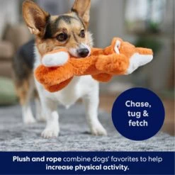 Frisco Fox Plush With Inside Rope Squeaky Dog Toy -The Pet Haven Shop 147065 PT4. AC SS1800 V1695671059