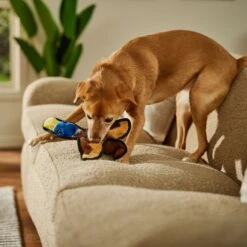 Frisco Duck Flat Plush Squeaky Dog Toy -The Pet Haven Shop 147069 PT3. AC SS1800 V1674158058