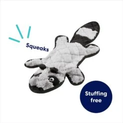 Frisco Raccoon Stuffing-Free Flat Plush Squeaky Dog Toy -The Pet Haven Shop 147071 PT2. AC SS1800 V1692826085