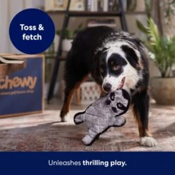 Frisco Raccoon Stuffing-Free Flat Plush Squeaky Dog Toy -The Pet Haven Shop 147071 PT5. AC SS1800 V1692989431