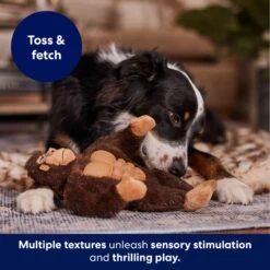 Frisco Gorilla Muscle Plush Squeaky Dog Toy -The Pet Haven Shop 147084 PT5. AC SS1800 V1694182068