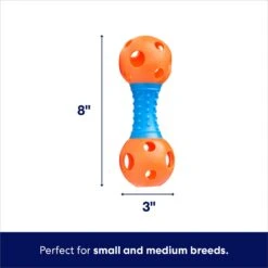 Frisco Dumbbell TPR Fetch Dog Toy 8 Frisco Dumbbell TPR Fetch Dog Toy -The Pet Haven Shop 147108 PT1. AC SS1800 V1695670999