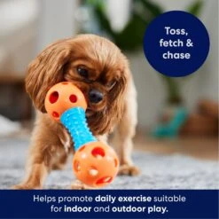 Frisco Dumbbell TPR Fetch Dog Toy 10 Frisco Dumbbell TPR Fetch Dog Toy -The Pet Haven Shop 147108 PT3. AC SS1800 V1695241969