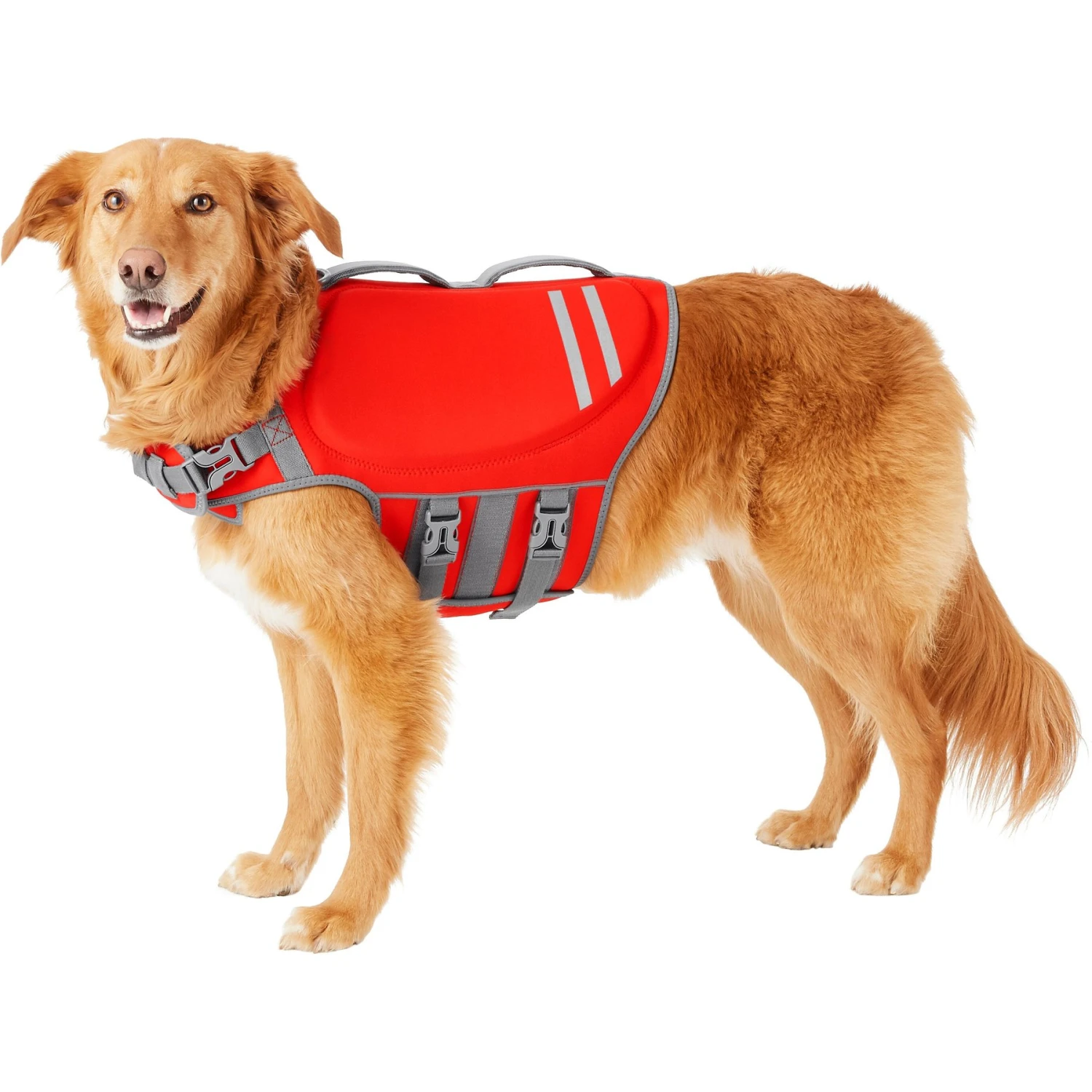 Frisco Neoprene Dog Life Jacket 3 Frisco Neoprene Dog Life Jacket