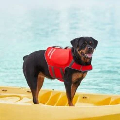 Frisco Neoprene Dog Life Jacket 18 Frisco Neoprene Dog Life Jacket -The Pet Haven Shop 152465 PT7. AC SS1800 V1631058734