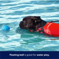 Frisco Foam Rubber Floating Fetch Ball No Squeak Dog Toy 11 Frisco Foam Rubber Floating Fetch Ball No Squeak Dog Toy -The Pet Haven Shop 152798 PT3. AC SS1800 V1686579688