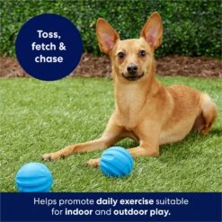 Frisco Foam Rubber Floating Fetch Ball No Squeak Dog Toy 12 Frisco Foam Rubber Floating Fetch Ball No Squeak Dog Toy -The Pet Haven Shop 152798 PT4. AC SS1800 V1686579140