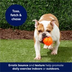 Frisco Fetch Squeaky TPR Ball Dog Toy -The Pet Haven Shop 152801 PT4. AC SS1800 V1686580091