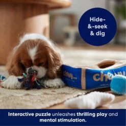 Frisco Chewy Box Hide & Seek Puzzle Plush Squeaky Dog Toy 14 Frisco Chewy Box Hide & Seek Puzzle Plush Squeaky Dog Toy -The Pet Haven Shop 152808 PT5. AC SS1800 V1695670752