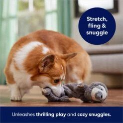 Frisco Sloth Bungee Plush Squeaky Dog Toy -The Pet Haven Shop 152826 PT5. AC SS1800 V1686579214