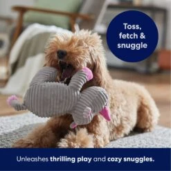 Frisco Rhino Corduroy Plush Squeaky Dog Toy -The Pet Haven Shop 152828 PT4. AC SS1800 V1695659205