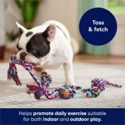 Frisco Rope Multipack Dog Toy -The Pet Haven Shop 152838 PT2. AC SS1800 V1686579143