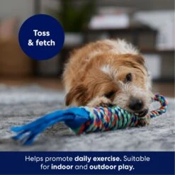 Frisco Rope With Handle & Tassels Dog Toy 8 Frisco Rope With Handle & Tassels Dog Toy -The Pet Haven Shop 152840 PT3. AC SS1800 V1695241916