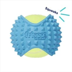 Frisco Fetch Squeaky Tennis Ball With Rubber Sleeve Dog Toy -The Pet Haven Shop 152844 PT2. AC SS1800 V1691776695