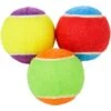 Frisco Fetch Squeaking Colorful Tennis Ball Dog Toy -The Pet Haven Shop 152846 Main. AC SS1800 V1549655070