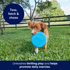 Frisco Fetch Rubber Flyer Dog Toy 8 Frisco Fetch Rubber Flyer Dog Toy -The Pet Haven Shop 152848 PT5. AC SS1800 V1692370079