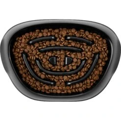 Frisco Non-Skid Slow Feeder Dog & Small Pet Bowl -The Pet Haven Shop 155648 PT2. AC SS1800 V1553539021