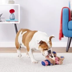 Frisco American Flag Bear Plush Squeaky Dog Toy -The Pet Haven Shop 157187 PT2. AC SS1800 V1559764047