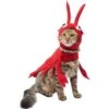 Frisco Red Lobster Dog & Cat Costume 2 Frisco Red Lobster Dog & Cat Costume -The Pet Haven Shop 158723 MAIN. AC SS1800 V1659023206