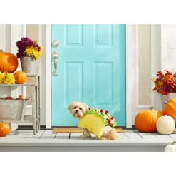 Frisco Taco Dog & Cat Costume -The Pet Haven Shop 158826 PT3. AC SS1800 V1567175798