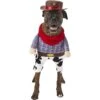 Frisco Front Walking Cowboy Dog & Cat Costume 2 Frisco Front Walking Cowboy Dog & Cat Costume -The Pet Haven Shop 158842 Main. AC SS1800 V1564408627