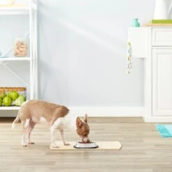 Frisco Non-Skid Stainless Steel Bowl 9 Frisco Non-Skid Stainless Steel Bowl -The Pet Haven Shop 159860 PT3. AC SS1800 V1570543131