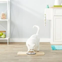 Frisco Non-Skid Stainless Steel Bowl 10 Frisco Non-Skid Stainless Steel Bowl -The Pet Haven Shop 159860 PT4. AC SS1800 V1570543031