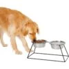 Frisco Pyramid Elevated Stainless Steel Double Diner Dog & Cat Bowl -The Pet Haven Shop 159884 MAIN. AC SS1800 V1583424776