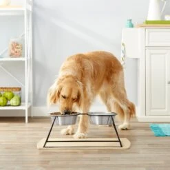 Frisco Pyramid Elevated Stainless Steel Double Diner Dog & Cat Bowl -The Pet Haven Shop 159884 PT3. AC SS1800 V1561123346