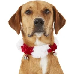 Frisco Jingle Bells Dog & Cat Holiday Collar With Bells, 1 Count -The Pet Haven Shop 160063 PT2. AC SS1800 V1669101088