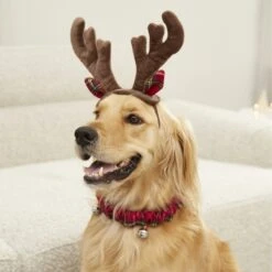 Frisco Holiday Antler Headband & Bell Collar Dog & Cat Costume -The Pet Haven Shop 160658 PT4. AC SS1800 V1568818037