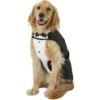 Frisco Formal Dog & Cat Tuxedo, Black -The Pet Haven Shop 160819 Main. AC SS1800 V1564075074
