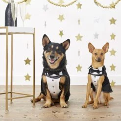 Frisco Formal Dog & Cat Tuxedo, Black -The Pet Haven Shop 160819 PT3. AC SS1800 V1567176451