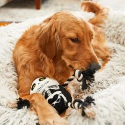 Frisco Halloween Skeleton Plush With Rope Squeaky Dog Toy 9 Frisco Halloween Skeleton Plush With Rope Squeaky Dog Toy -The Pet Haven Shop 161358 PT6. AC SS1800 V1597599370