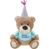 Frisco Birthday Bear Plush Squeaky Dog Toy -The Pet Haven Shop 162836 Main. AC SS1800 V1565379440