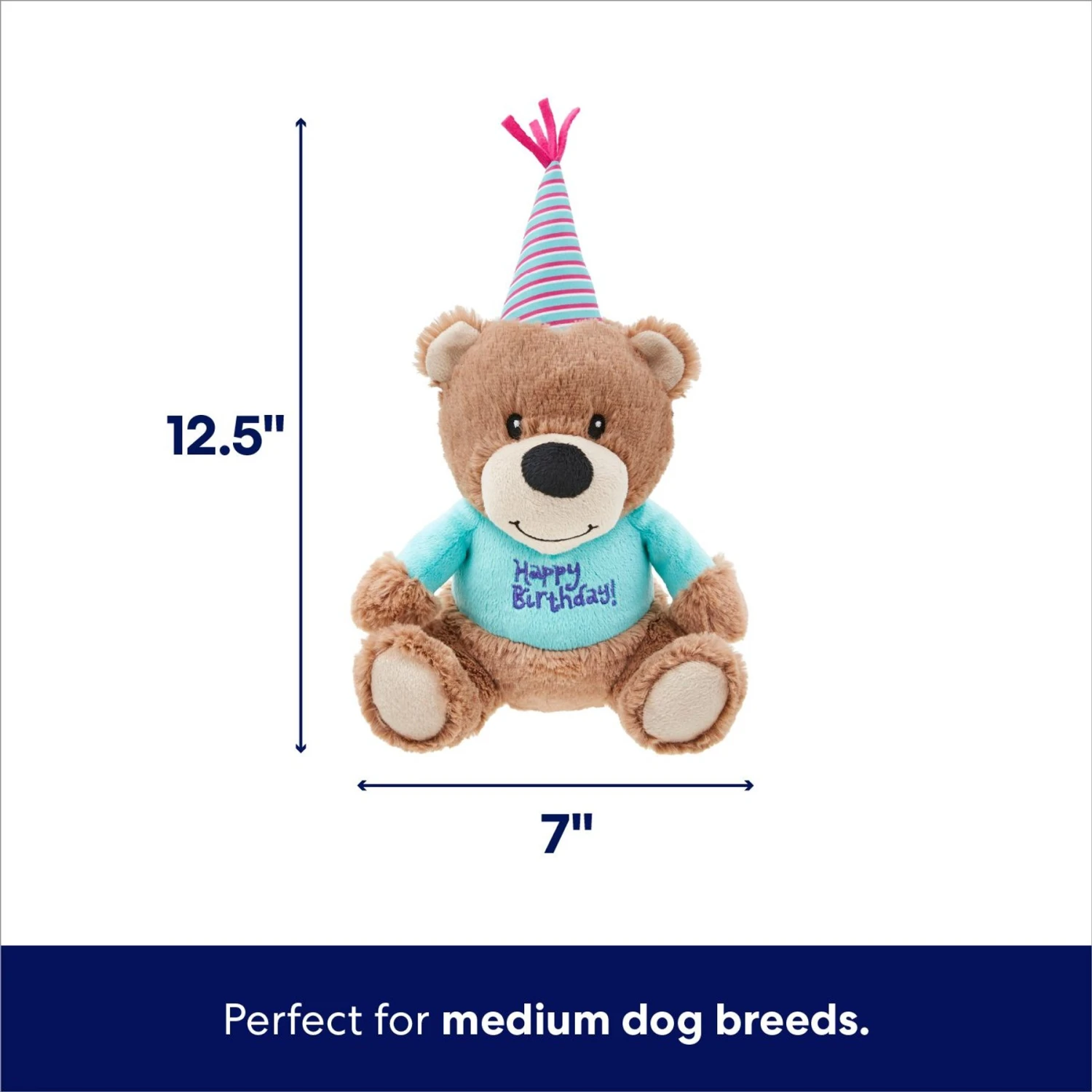 Frisco Birthday Bear Plush Squeaky Dog Toy 4 Frisco Birthday Bear Plush Squeaky Dog Toy - Image 2