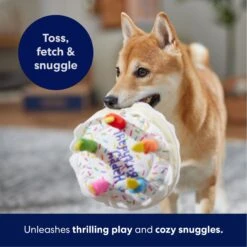 Frisco Birthday Cake Plush Squeaky Dog Toy -The Pet Haven Shop 162839 PT4. AC SS1800 V1695671061
