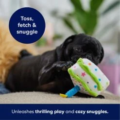Frisco Birthday Cake Slice Plush Squeaky Dog Toy -The Pet Haven Shop 162906 PT4. AC SS1800 V1695671059