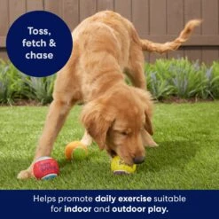 Frisco Birthday Fetch Squeaky Tennis Ball Dog Toy -The Pet Haven Shop 162914 PT5. AC SS1800 V1692020098
