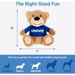 Frisco Chewy Bear Plush Squeaky Dog Toy -The Pet Haven Shop 164312 PT1. AC SS1800 V1602685578